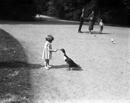 816580 Afbeelding van een klein meisje dat een eend voert (van haar ijsje laat eten?) in het Wilhelminapark te Utrecht.